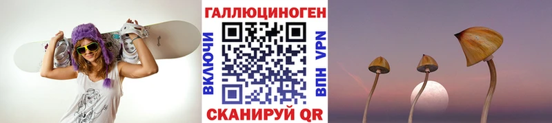 Купить закладки Юхнов Псилоцибиновые грибы Psilocybe
